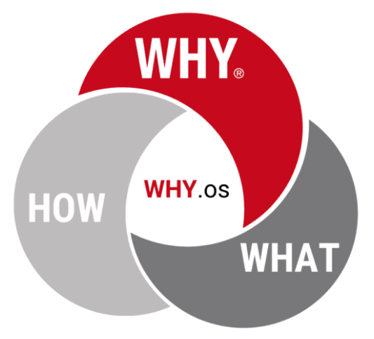 WHY.os Discovery tool showing WHY-HOW-WHAT and how they connect